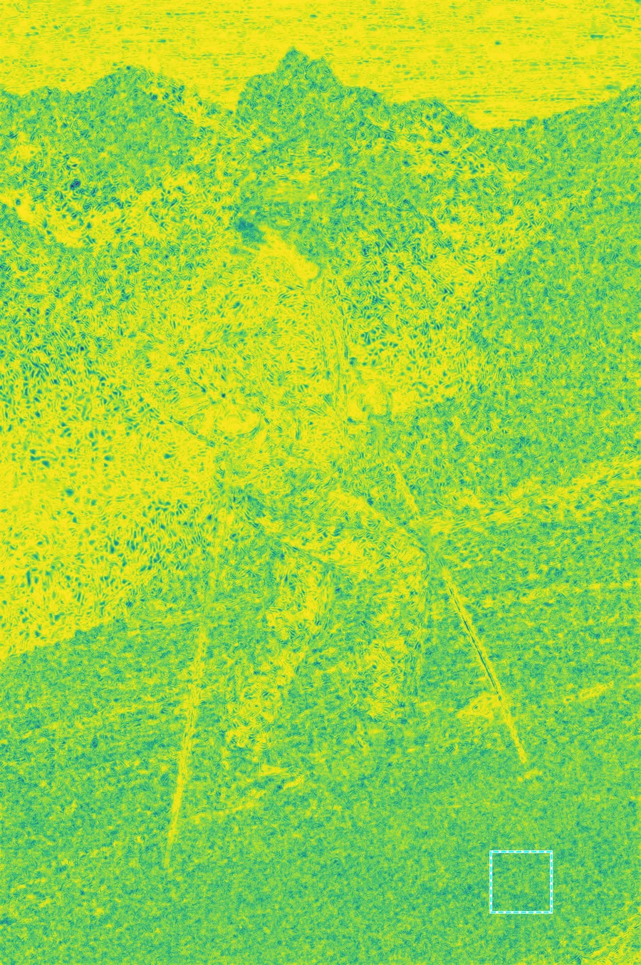 Aggregated distortion map (anisotropic)
