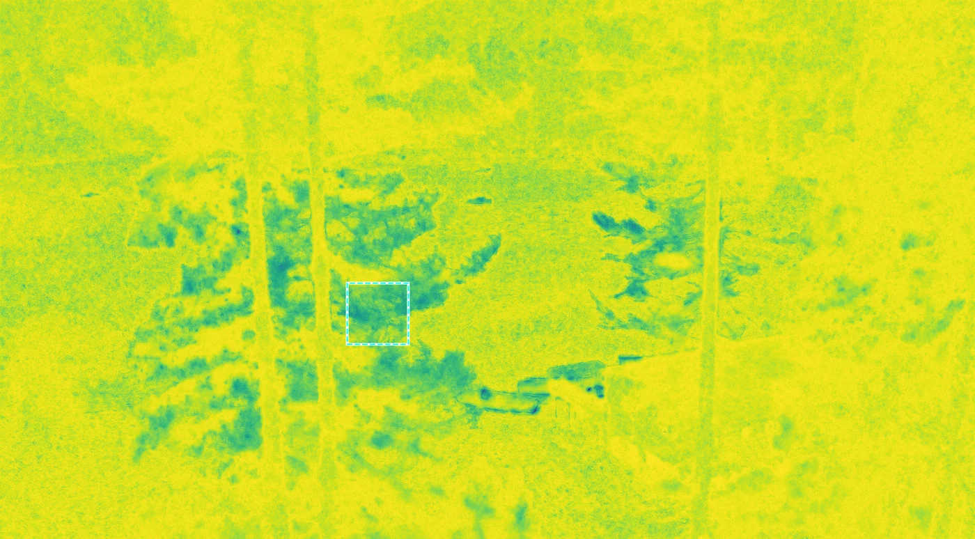 Aggregated distortion map (anisotropic)