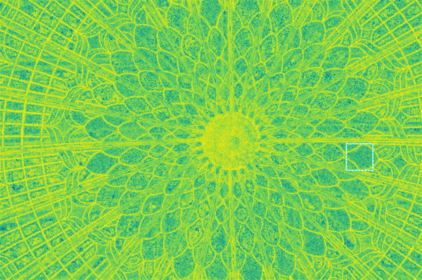 Aggregated distortion map (anisotropic)