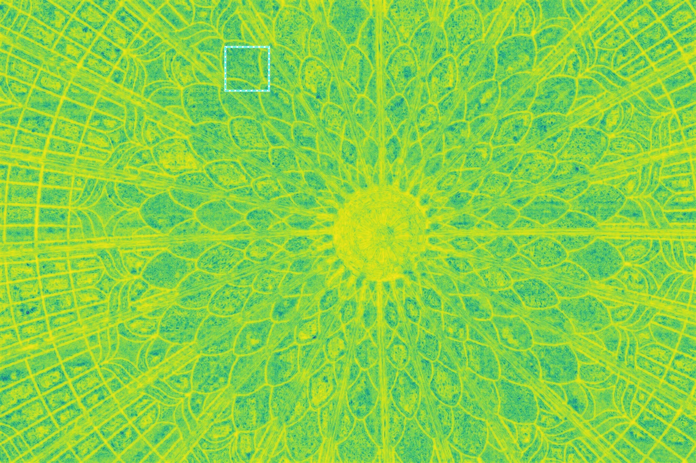 Aggregated distortion map (anisotropic)