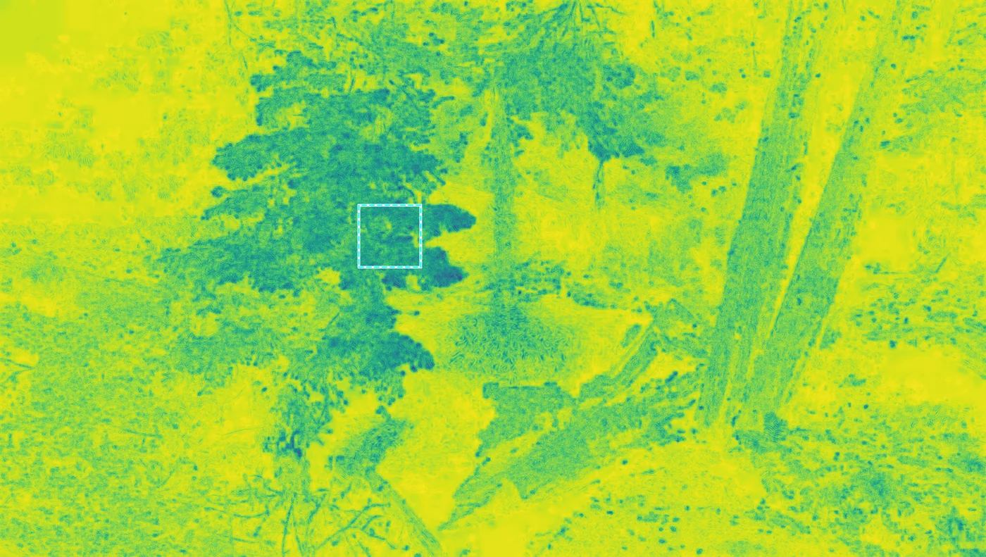 Aggregated distortion map (anisotropic)