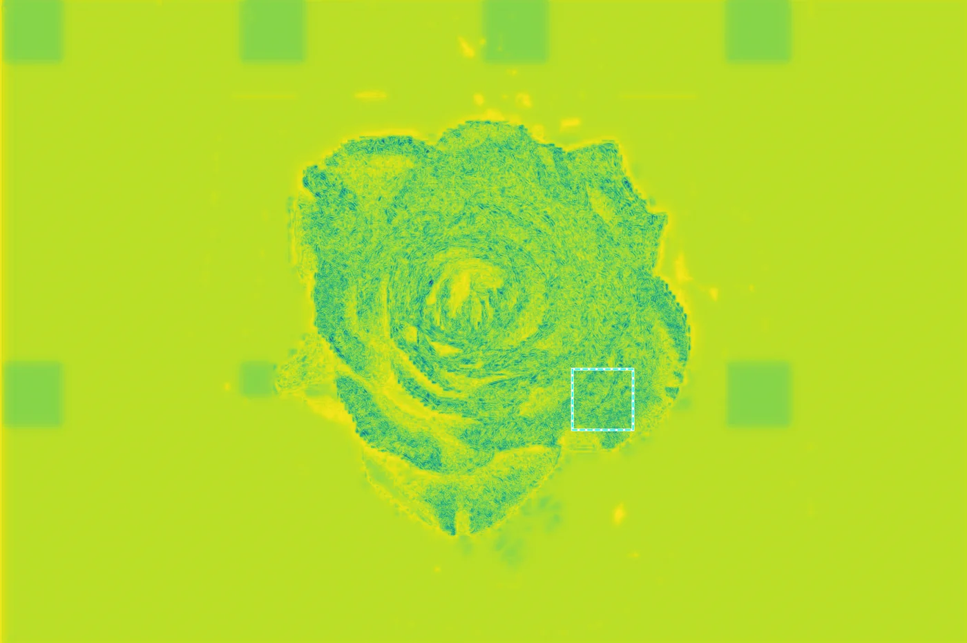 Aggregated distortion map (anisotropic)