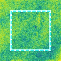 Aggregated distortion map (anisotropic)