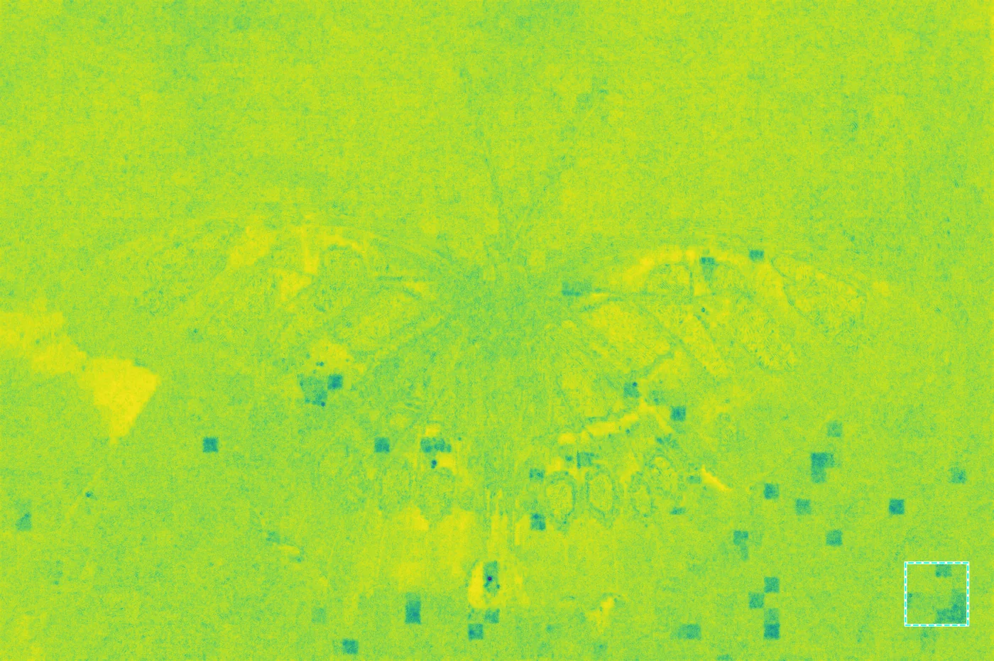 Aggregated distortion map (anisotropic)