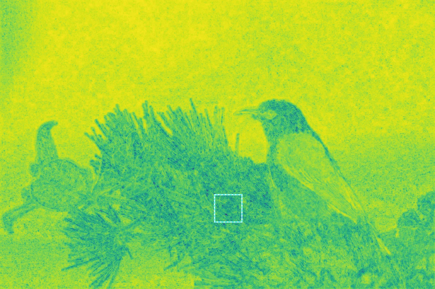 Aggregated distortion map (anisotropic)