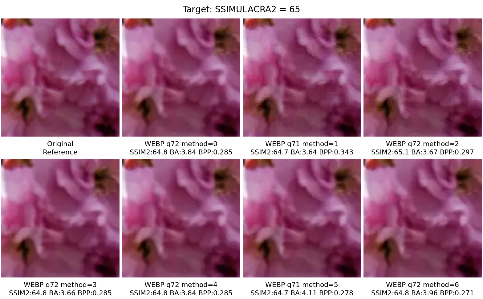 Fragment comparison — comparison_65