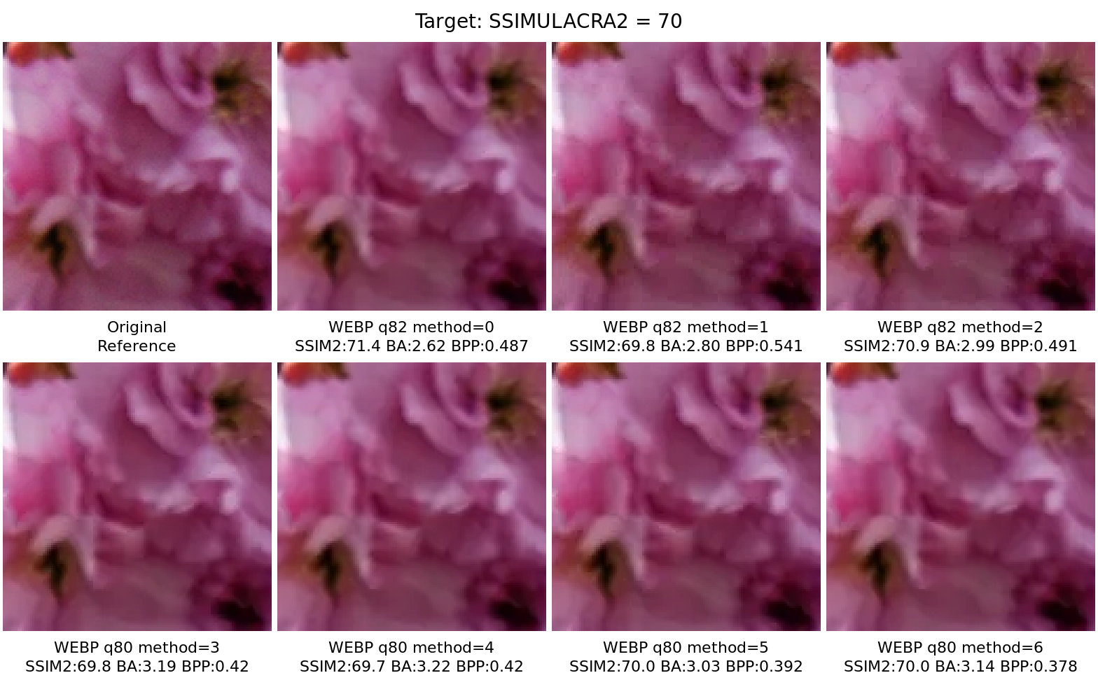 Fragment comparison — comparison_70