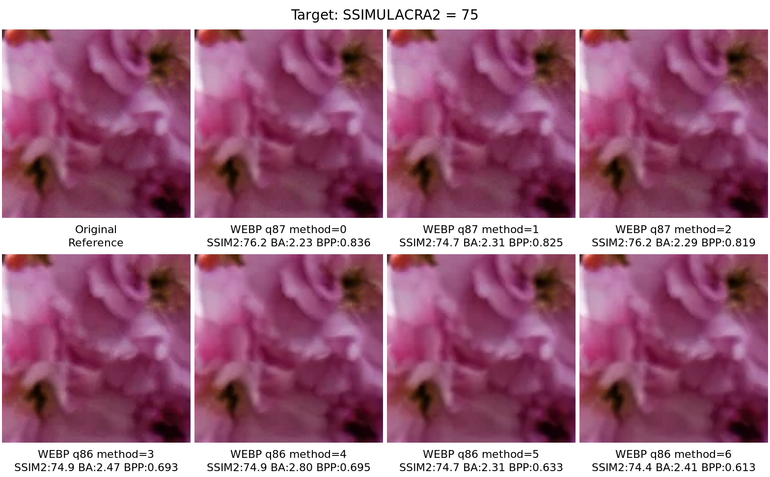 Fragment comparison — comparison_75