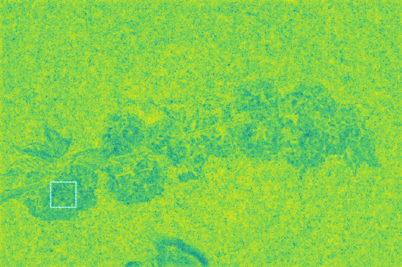 Aggregated distortion map (anisotropic)